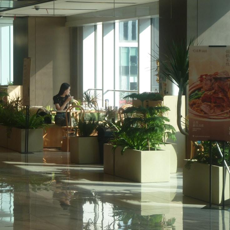 Family-friendly shopping and daily life in Netherlands